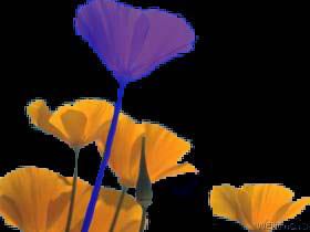 image-20240927-140015.png
