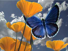 image-20240927-135924.png